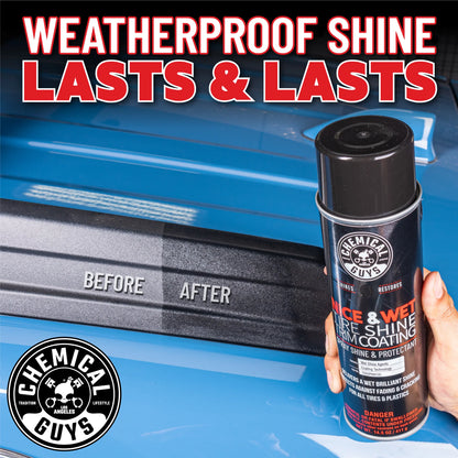 Nice and Wet Tire Shine Trim Coating Spray